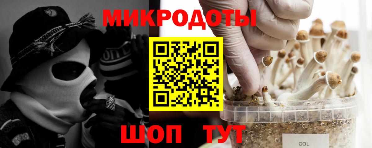 Псилоцибиновые грибы Magic Shrooms  Вход с VPN  Тара 